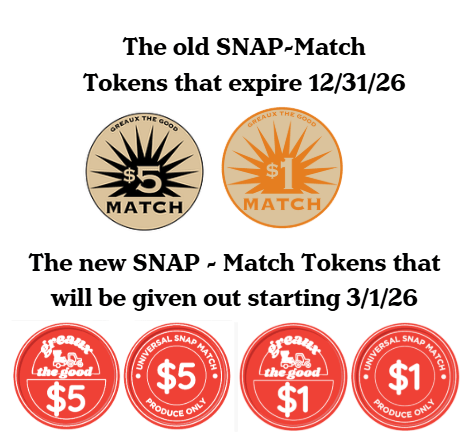 Screenshot 2026-02-12 094423