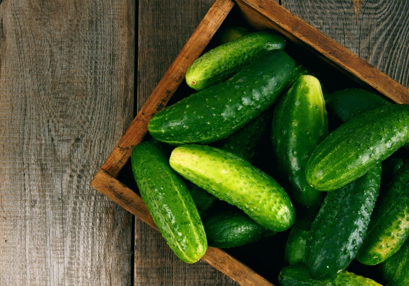 cucumbers1-1600x1095