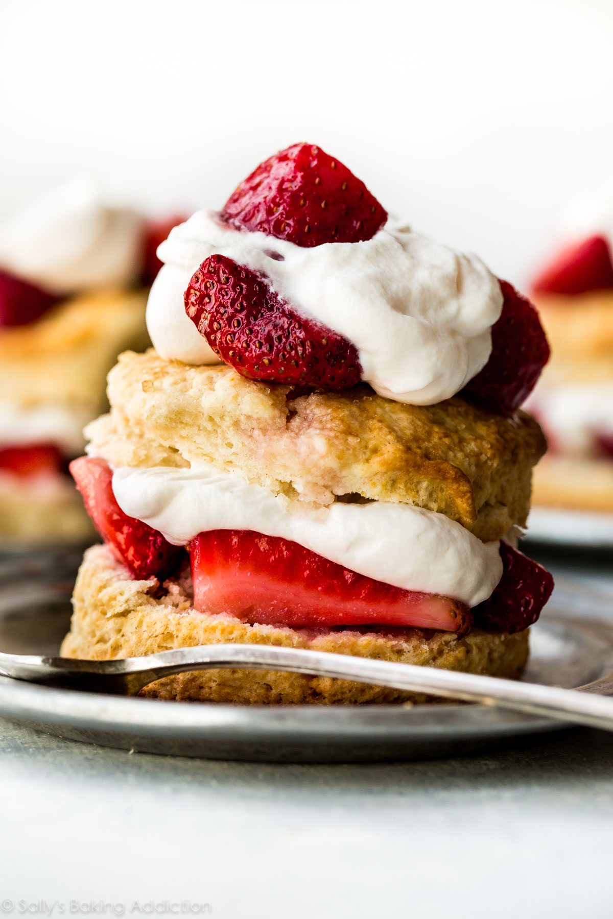 Strawberry Shortcake | BREADA